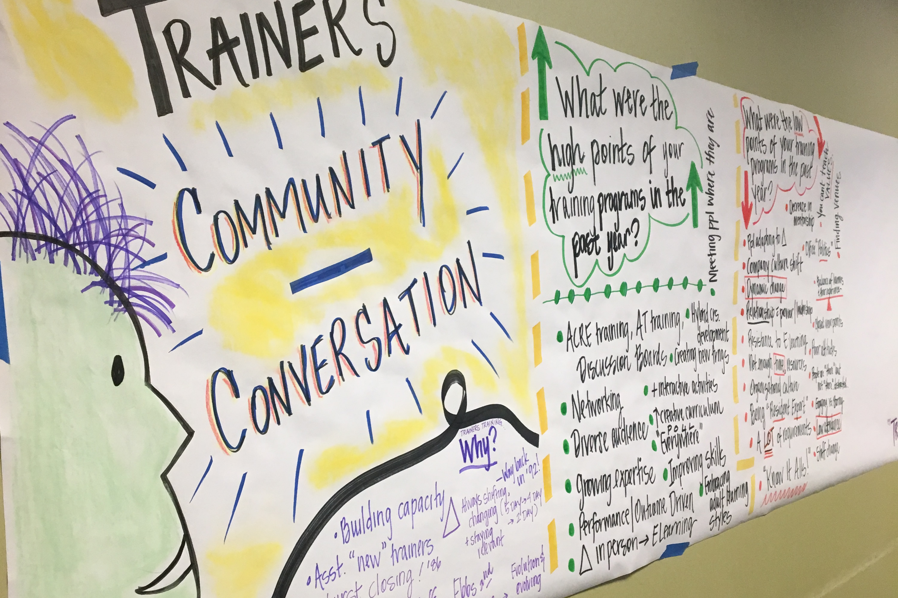Graphic Facilitation of the Trainers' Community Conversation