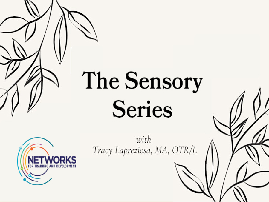 The Sensory Series